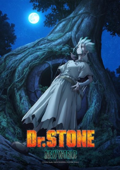 انمي Dr. Stone الموسم الثالث مترجم