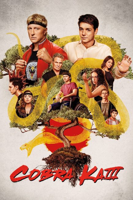 مسلسل Cobra Kai الموسم الثالث الحلقة 8 مترجمة
