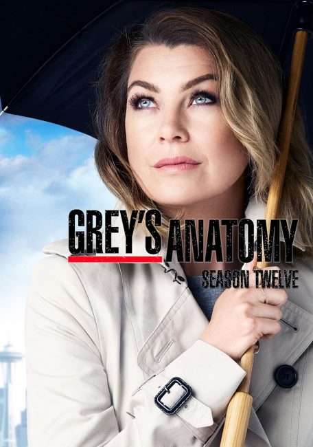 مسلسل Grey’s Anatomy الموسم 12 الحلقة 1 مترجمة