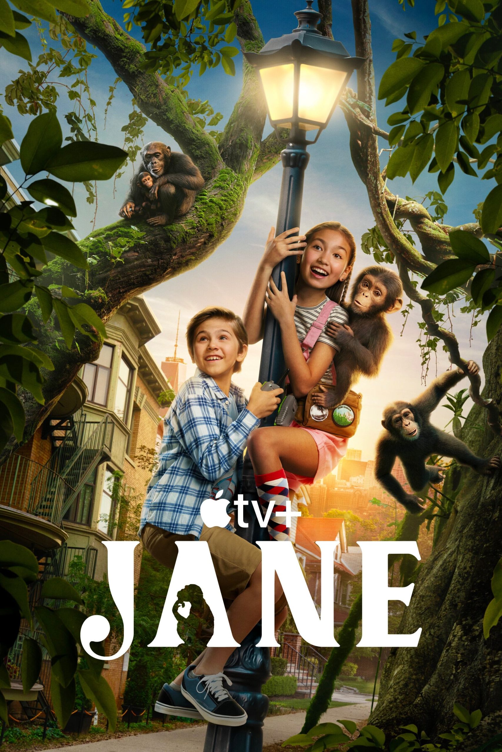 مسلسل Jane مترجم