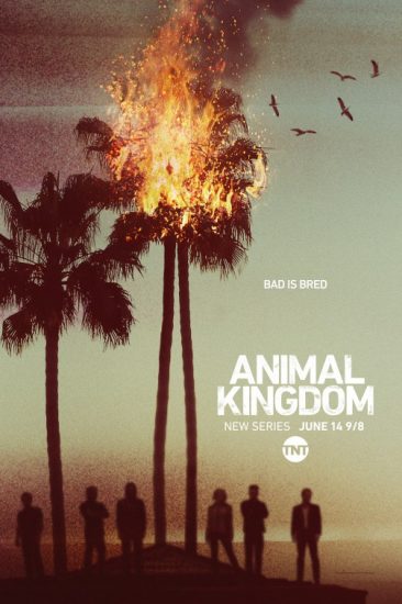 مسلسل Animal Kingdom الموسم الاول الحلقة 10 والاخيرة مترجمة