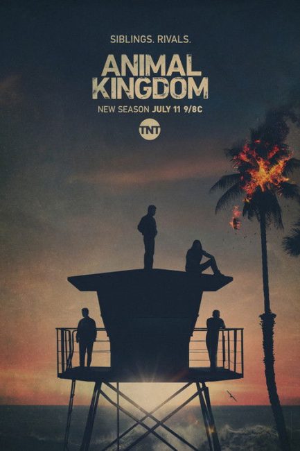 مسلسل Animal Kingdom الموسم الخامس الحلقة 1 مترجمة