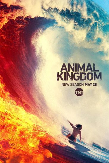 مسلسل Animal Kingdom الموسم الرابع الحلقة 13 والاخيرة مترجمة
